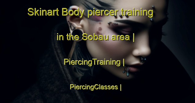 Skinart Body piercer training in the Sobau area | PiercingTraining | PiercingClasses | SkinartTraining-Republic of Korea